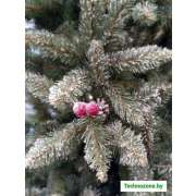 Ель GreenTerra Ариозо, эффект инея 2.2 м