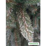 Ель GreenTerra Ариозо, эффект инея 2.2 м