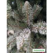 Ель GreenTerra Ариозо, эффект инея 2.2 м