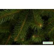 Ель GreenTerra Бовари 2.2 м