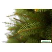 Ель GreenTerra Бовари 2.2 м