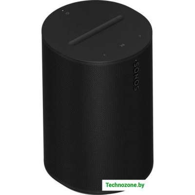 Беспроводная аудиосистема Sonos Era 100 (черный)