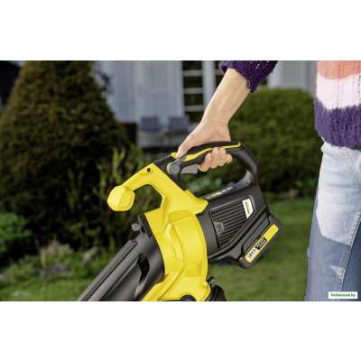 Ручная воздуходувка Karcher BLV 18-200 Battery (без АКБ)