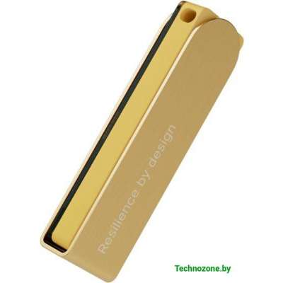 Аппаратный криптокошелек Ledger Nano X (золотистый)