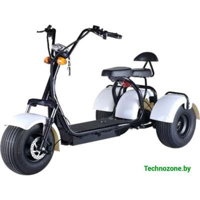 Электроскутер ElectroDrive Citycoco Tricycle SMD 3-2