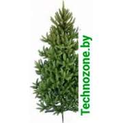 Ель Dorpen Сверк дикий 3 м (300 см)