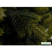 Ель GreenTerra Брокилонская 2.5 м
