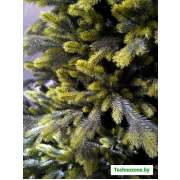 Ель GreenTerra Брокилонская 2.5 м