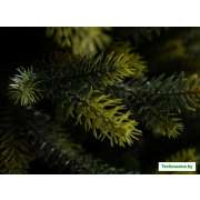 Ель GreenTerra Брокилонская 2.5 м