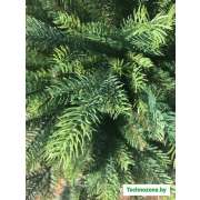 Ель GreenTerra Кашемир 2.5 м