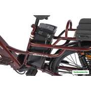 Электровелосипед Eltreco Green City E-Alfa Lux 2021 (коричневый)