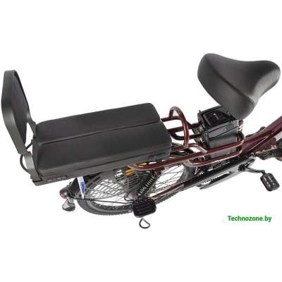 Электровелосипед Eltreco Green City E-Alfa Lux 2021 (коричневый)