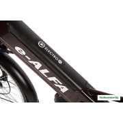 Электровелосипед Eltreco Green City E-Alfa GL (коричневый)