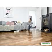 Пылесос Karcher FC 3 Premium Home Line 1.055-360.0