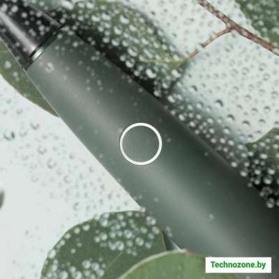 Электрическая зубная щетка Oclean Air 2 (листья эвкалипта)