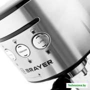 Рожковая помповая кофеварка Brayer BR1102
