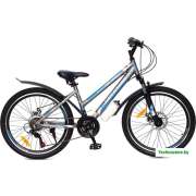 Велосипед Greenway Colibri-H 24 р.14 2021 (серый/синий)