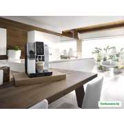 Эспрессо кофемашина DeLonghi Dinamica ECAM350.50.SB