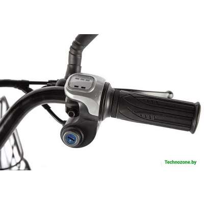 Электровелосипед Eltreco Green City E-Alfa GL 2021 (коричневый)