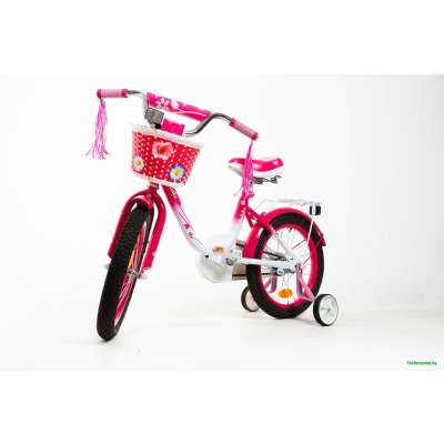 Детский велосипед Bibibike D16-2F