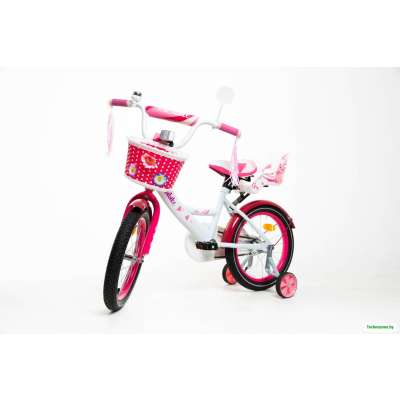 Детский велосипед Bibibike D16-3W