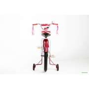 Детский велосипед Bibibike D20-2P